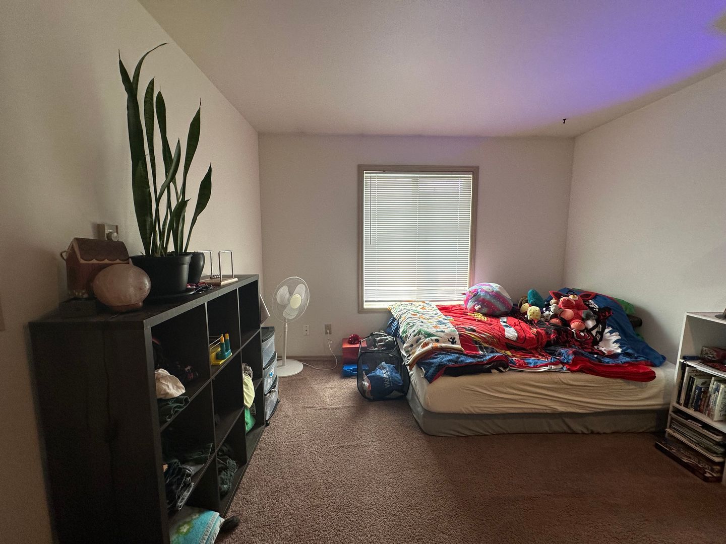 2104/2106/2108 Woburn Street - Bellingham - Washington - 3 bed, 2.5 bath rental property