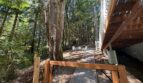 23 Spring Rd - Bellingham - Washington - 4 bed, 3 bath rental property