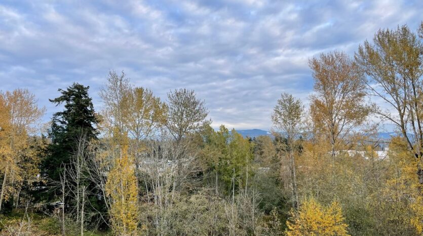 251 W Bakerview Rd. #405 - Bellingham - Washington - 2 bed, 2 bath rental property