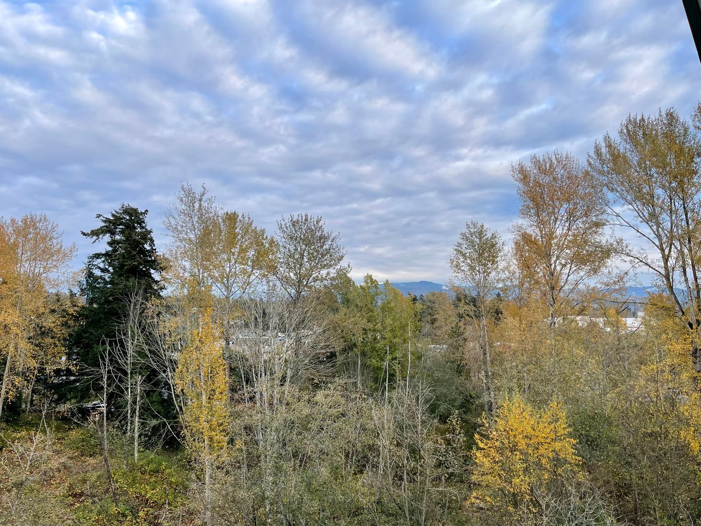 251 W Bakerview Rd. #405 - Bellingham - Washington - 2 bed, 2 bath rental property
