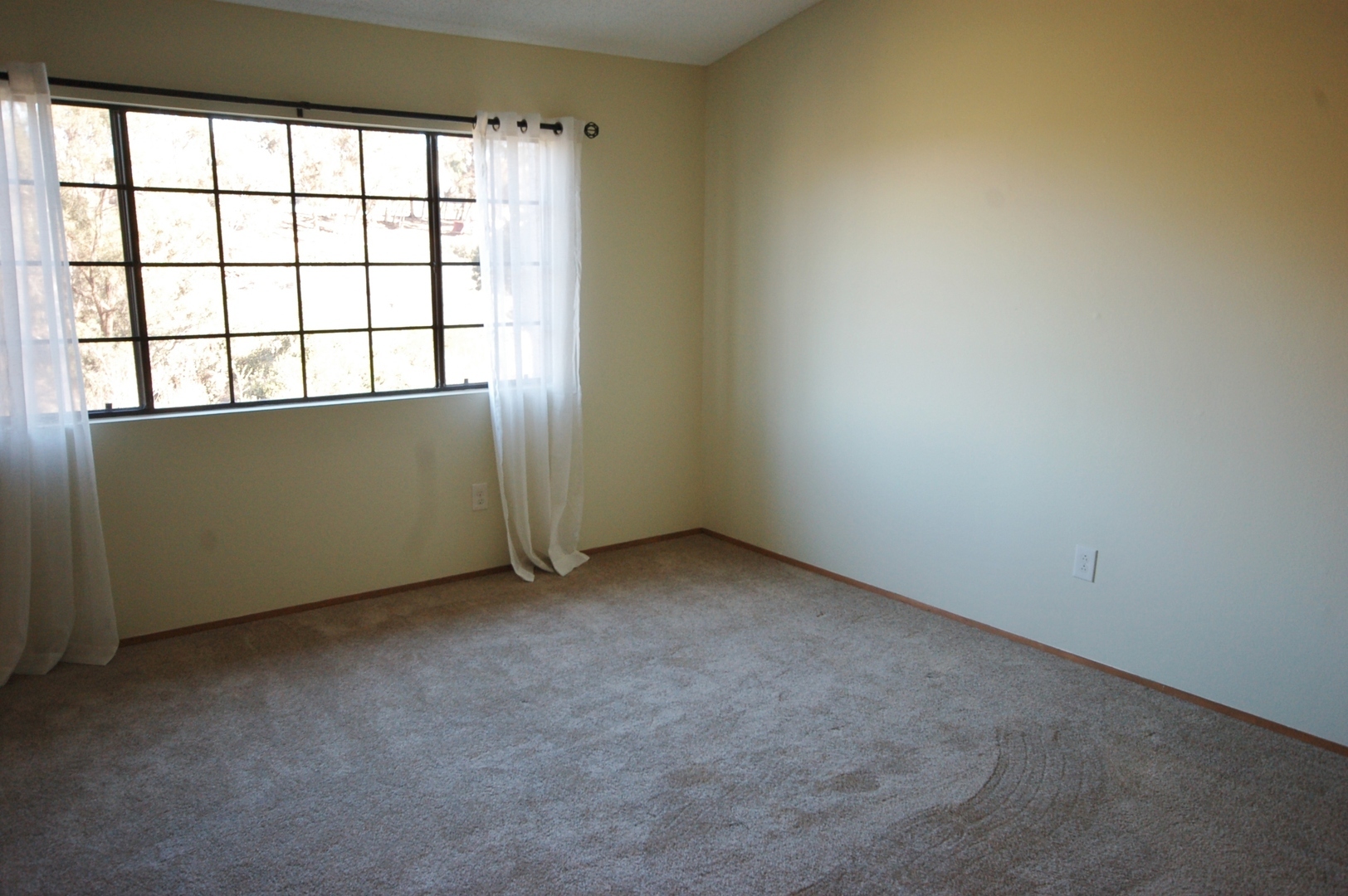 2824 Winthrop Ave. - Carlsbad - California - 2 bed, 2 bath rental property