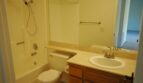 2824 Winthrop Ave. - Carlsbad - California - 2 bed, 2 bath rental property