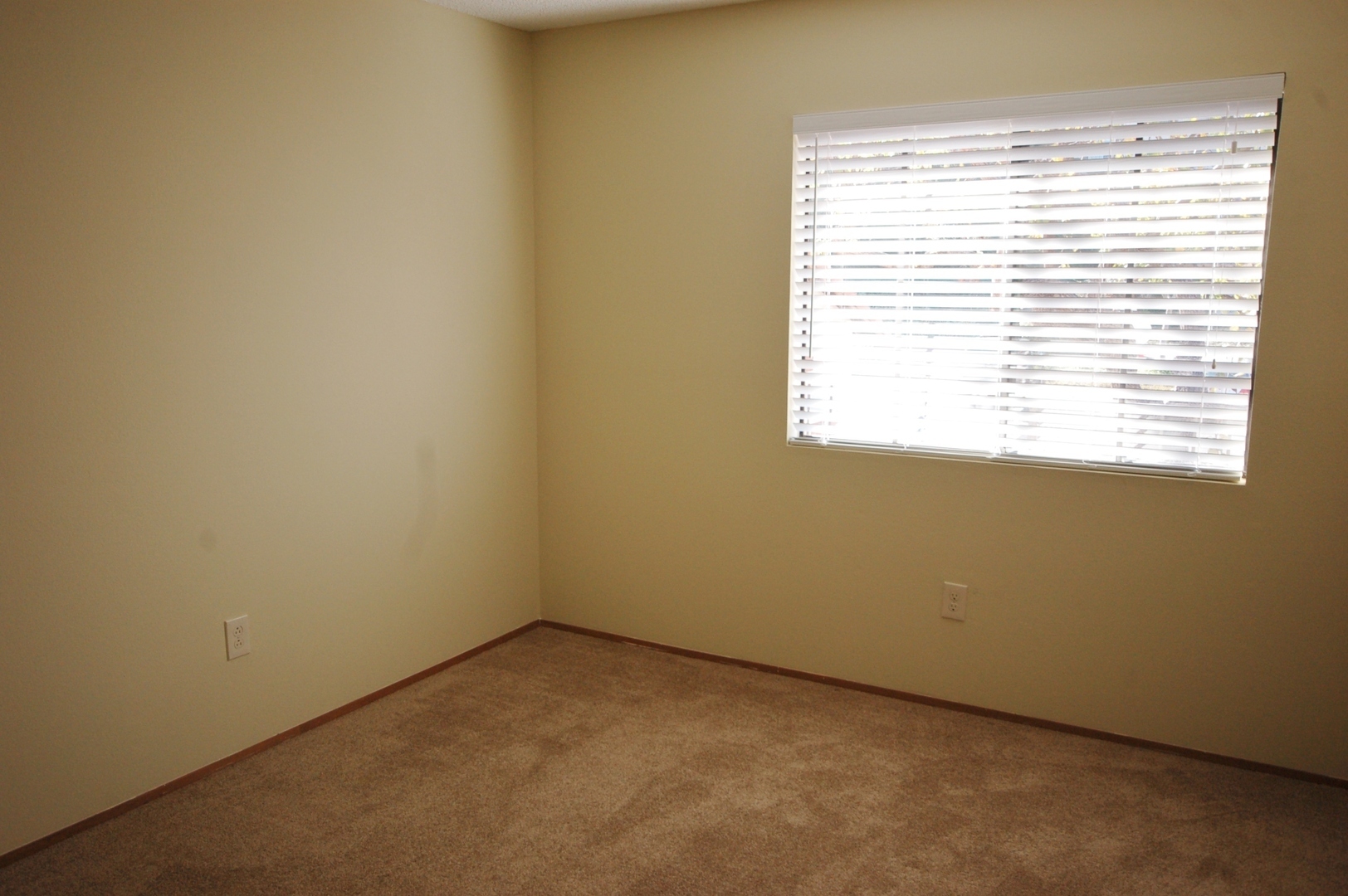 2824 Winthrop Ave. - Carlsbad - California - 2 bed, 2 bath rental property