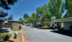 2827 Monument Blvd Apt 24 - Concord - California - 1 bed, 1 bath rental property