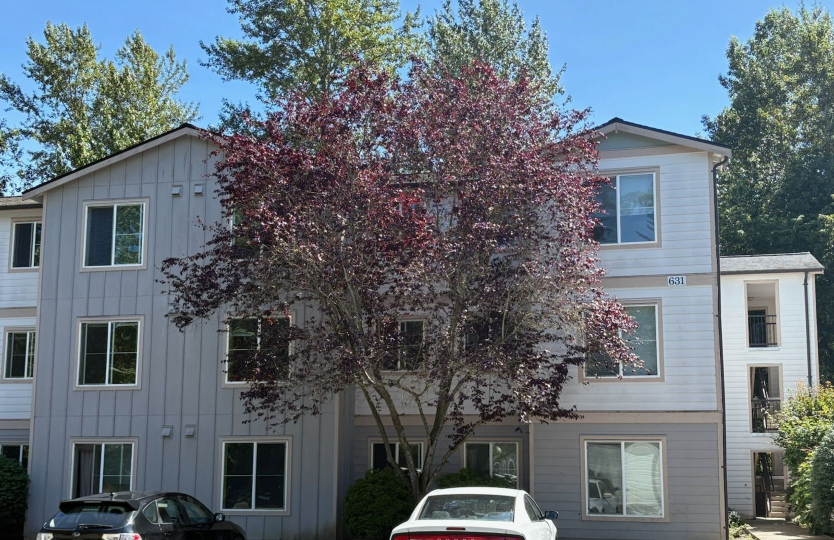 4018 Northwest Avenue - Bellingham - Washington - 1 bed, 1 bath rental property