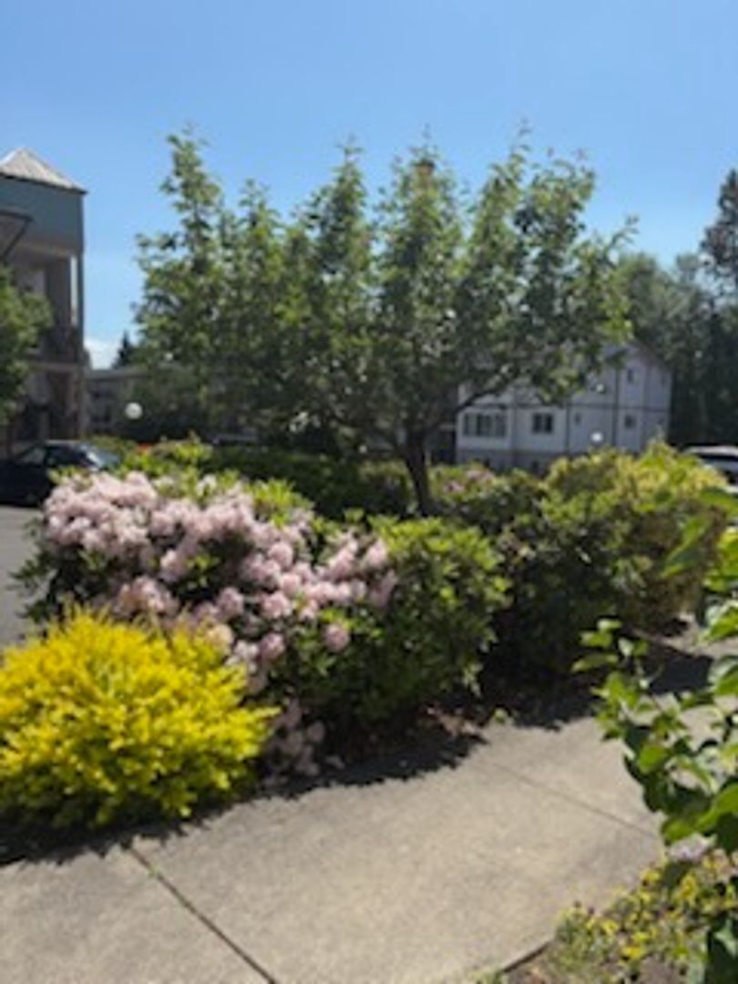 4018 Northwest Avenue - Bellingham - Washington - 1 bed, 1 bath rental property