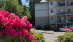 4018 Northwest Avenue - Bellingham - Washington - 2 bed, 2 bath rental property