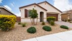 4209 Gallinule Dr - North Las Vegas - Nevada - 3 bed, 2 bath rental property