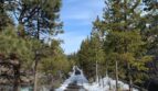 61166 Snowbrush Dr - Bend - Oregon - 3 bed, 2.5 bath rental property