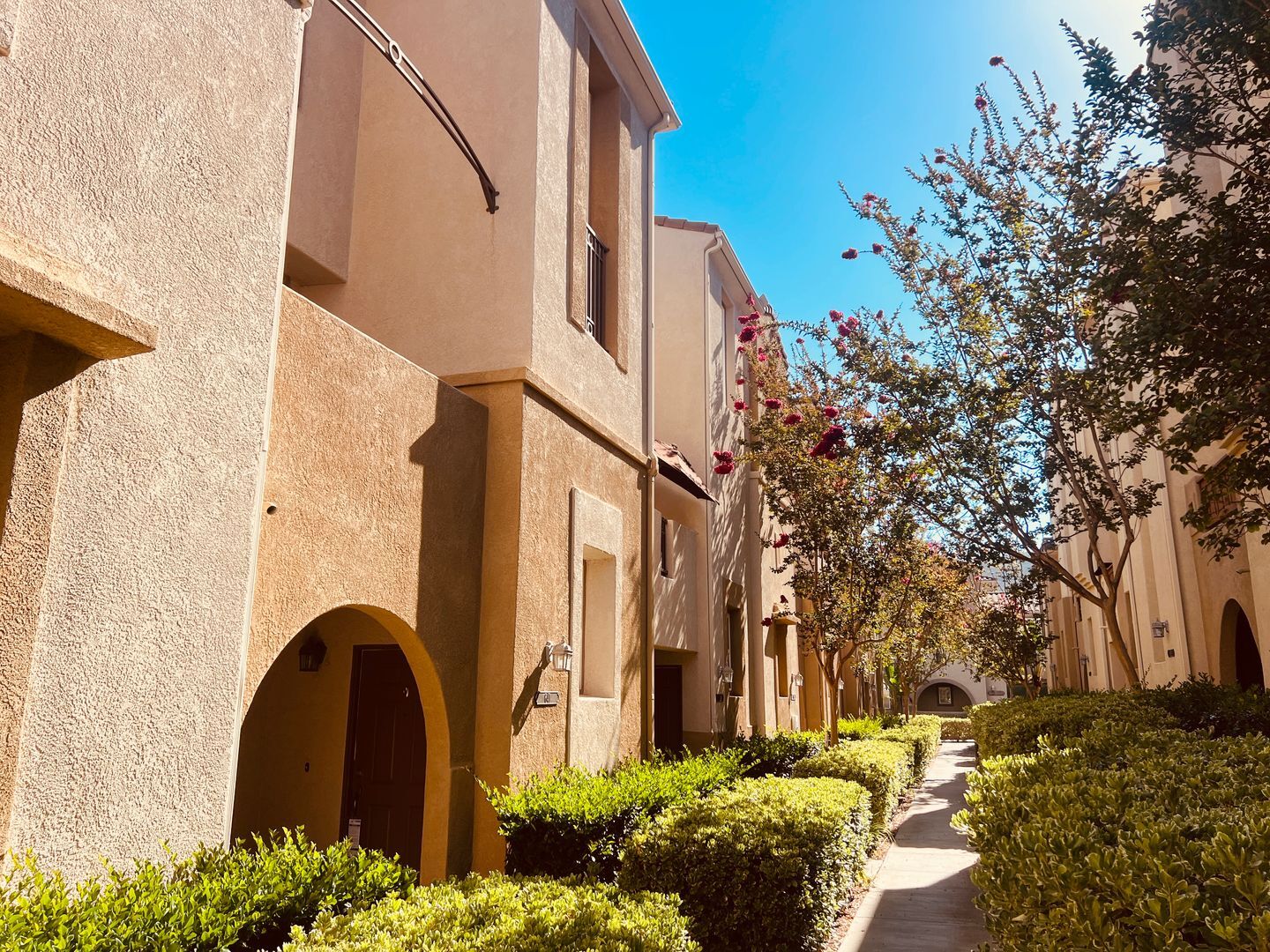 641 Hatfield Drive - San Marcos - California - 3 bed, 3 bath rental property