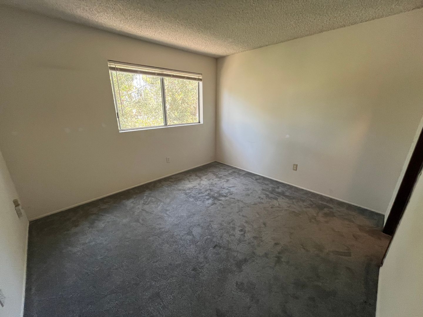 7987 Camino Huerta - San Diego - California - 2 bed, 1.5 bath rental property