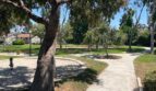 7987 Camino Huerta - San Diego - California - 2 bed, 1.5 bath rental property