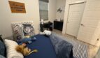 8877 Solo Way  - Elk Grove - California - 5 bed, 3 bath rental property