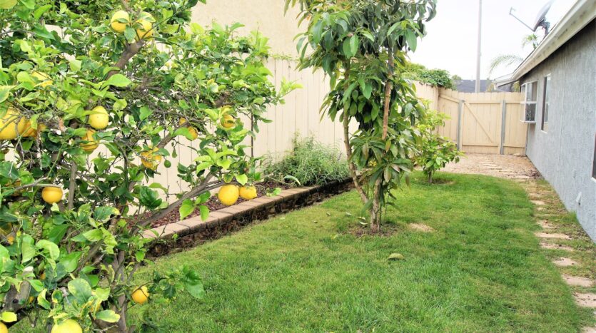 10756 Sayers Ct.  - Santee - California - 3 bed, 2 bath rental property