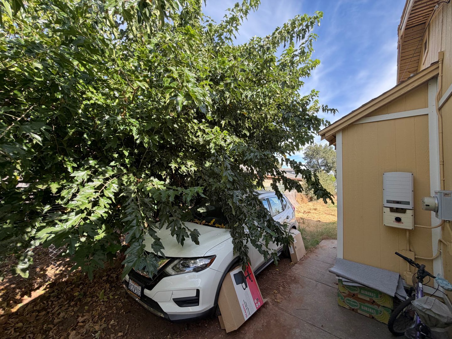 1528 Los Robles - Sacramento - California - 5 bed, 4 bath rental property
