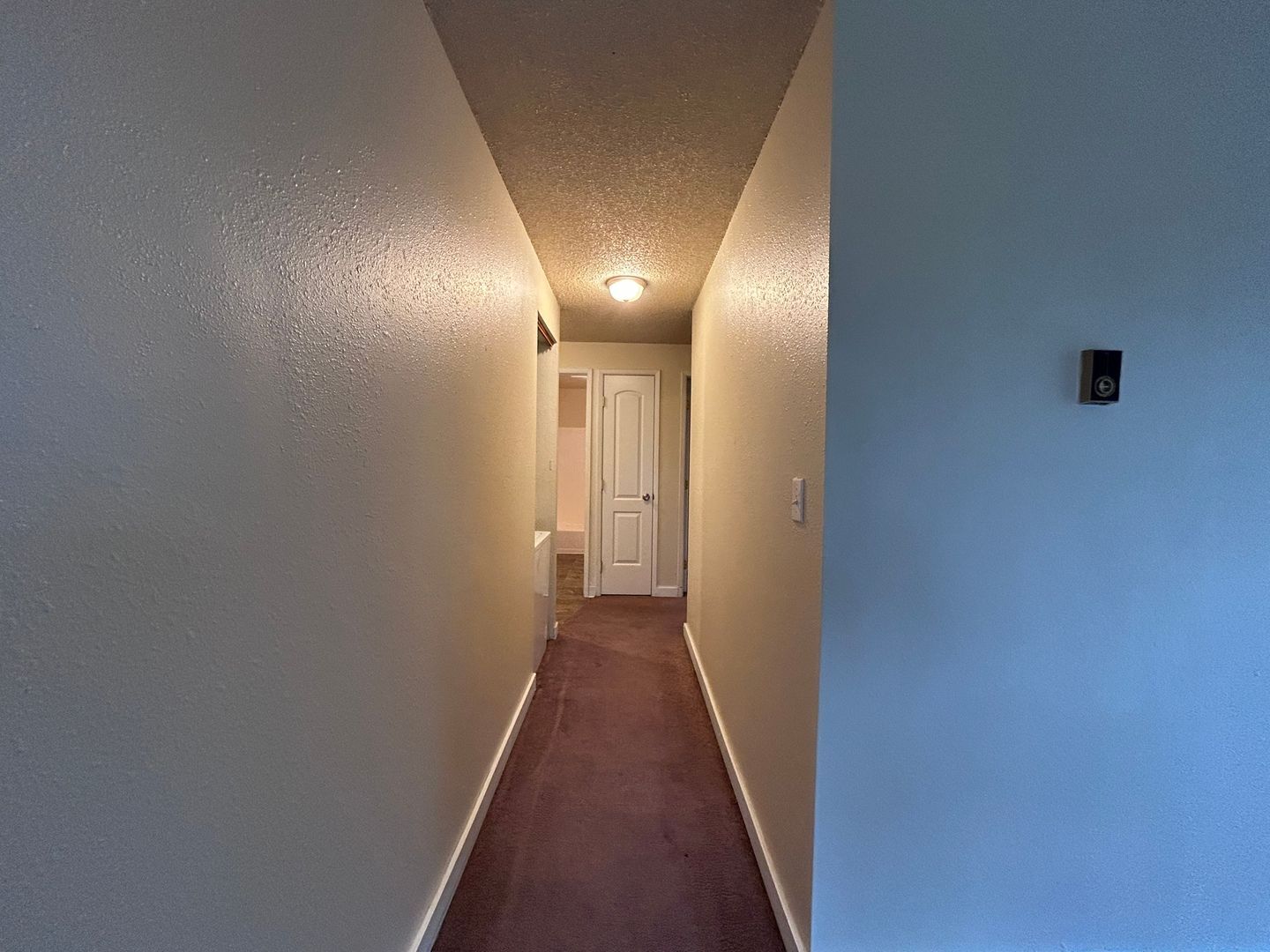 1530 Franklin St. #3 - Bellingham - Washington - 2 bed, 1 bath rental property