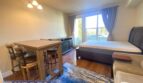 224 Laurel Street, # A204 - Santa Cruz - California - 1 bath rental property