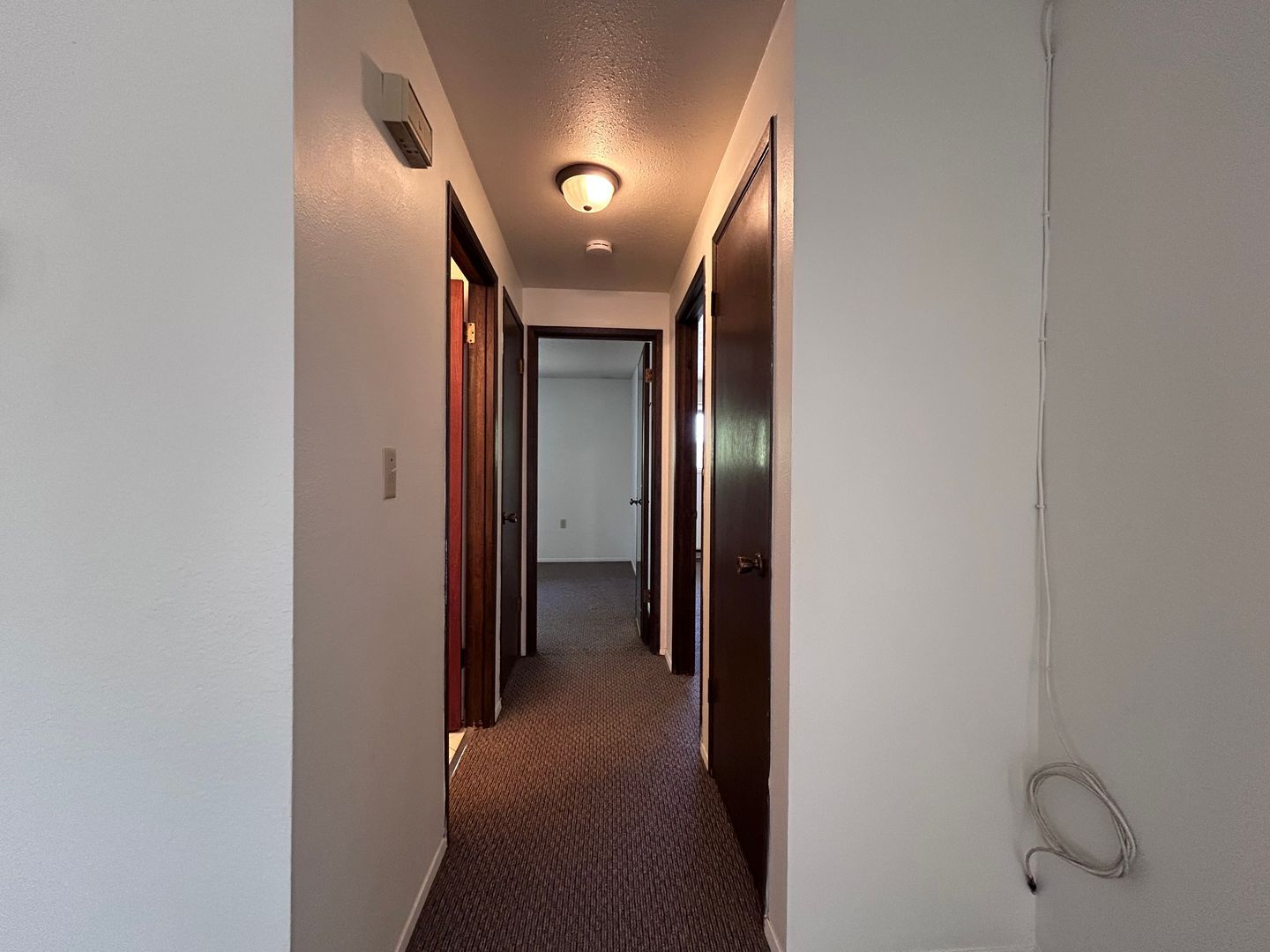 2312 Orleans St. - D - Bellingham - Washington - 2 bed, 1 bath rental property