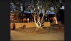 3203 Embudito Dr NE - Albuquerque - New Mexico - 4 bed, 2.5 bath rental property
