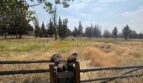 333 SW 35th Street - Redmond - Oregon - 3 bed, 2 bath rental property