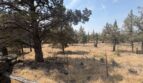 333 SW 35th Street - Redmond - Oregon - 3 bed, 2 bath rental property