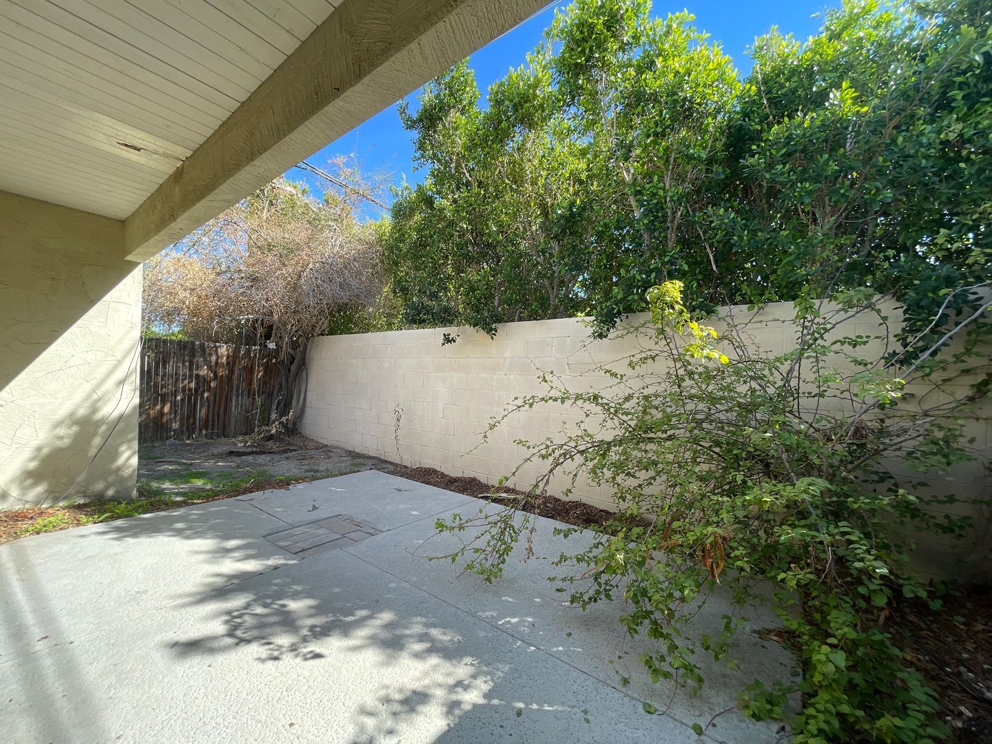 3737 East Calle De Carlos - Unit 1 - Palm Springs - California - 1 bed, 1 bath rental property