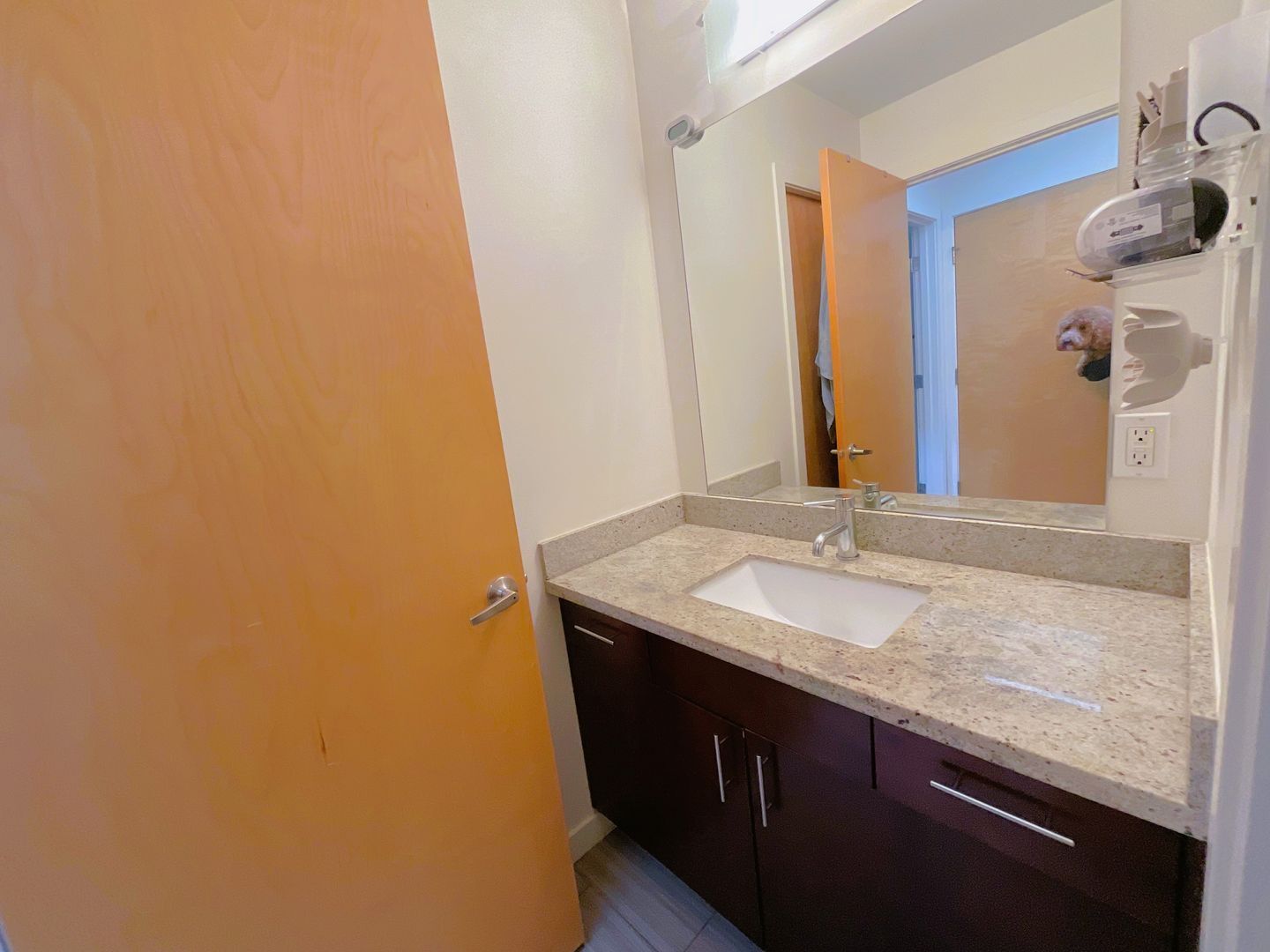 3817 S Angeline St - Seattle - Washington - 3 bed, 2.5 bath rental property