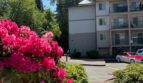 4018 Northwest Avenue - Bellingham - Washington - 1 bed, 1 bath rental property