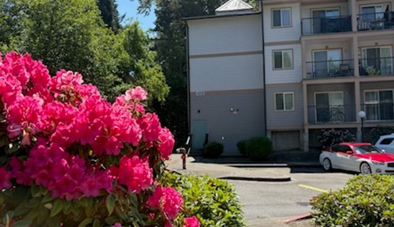 4018 Northwest Avenue - Bellingham - Washington - 1 bed, 1 bath rental property