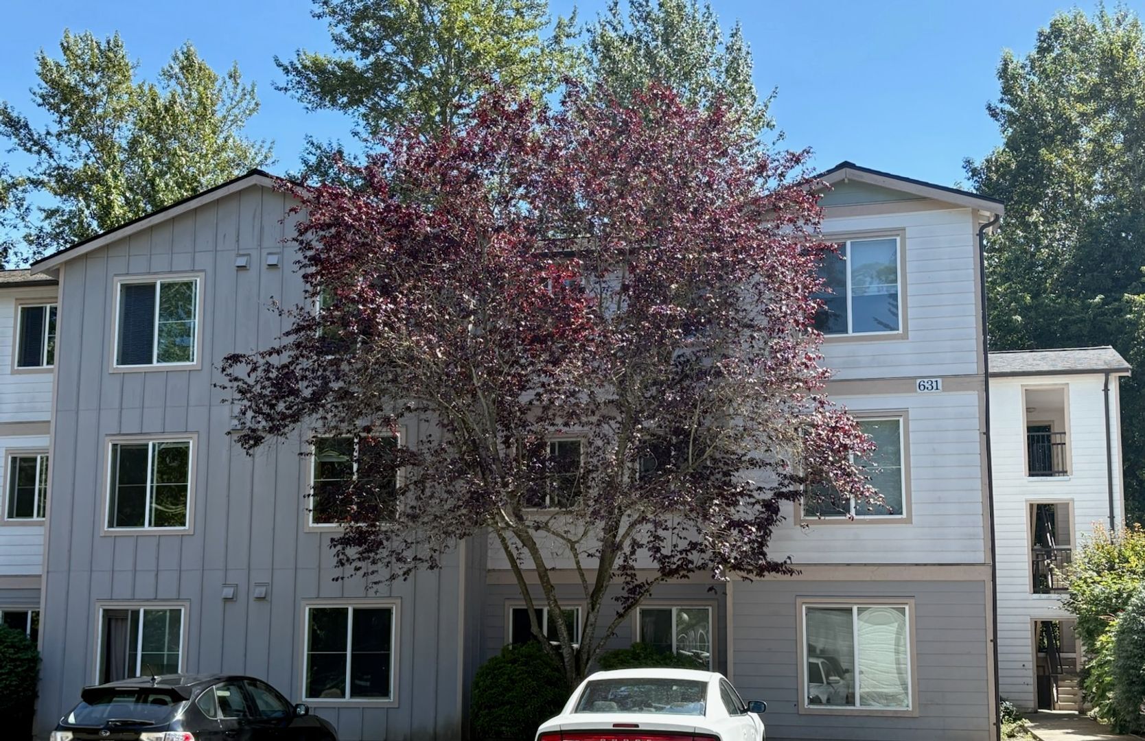 4018 Northwest Avenue - Bellingham - Washington - 1 bed, 1 bath rental property