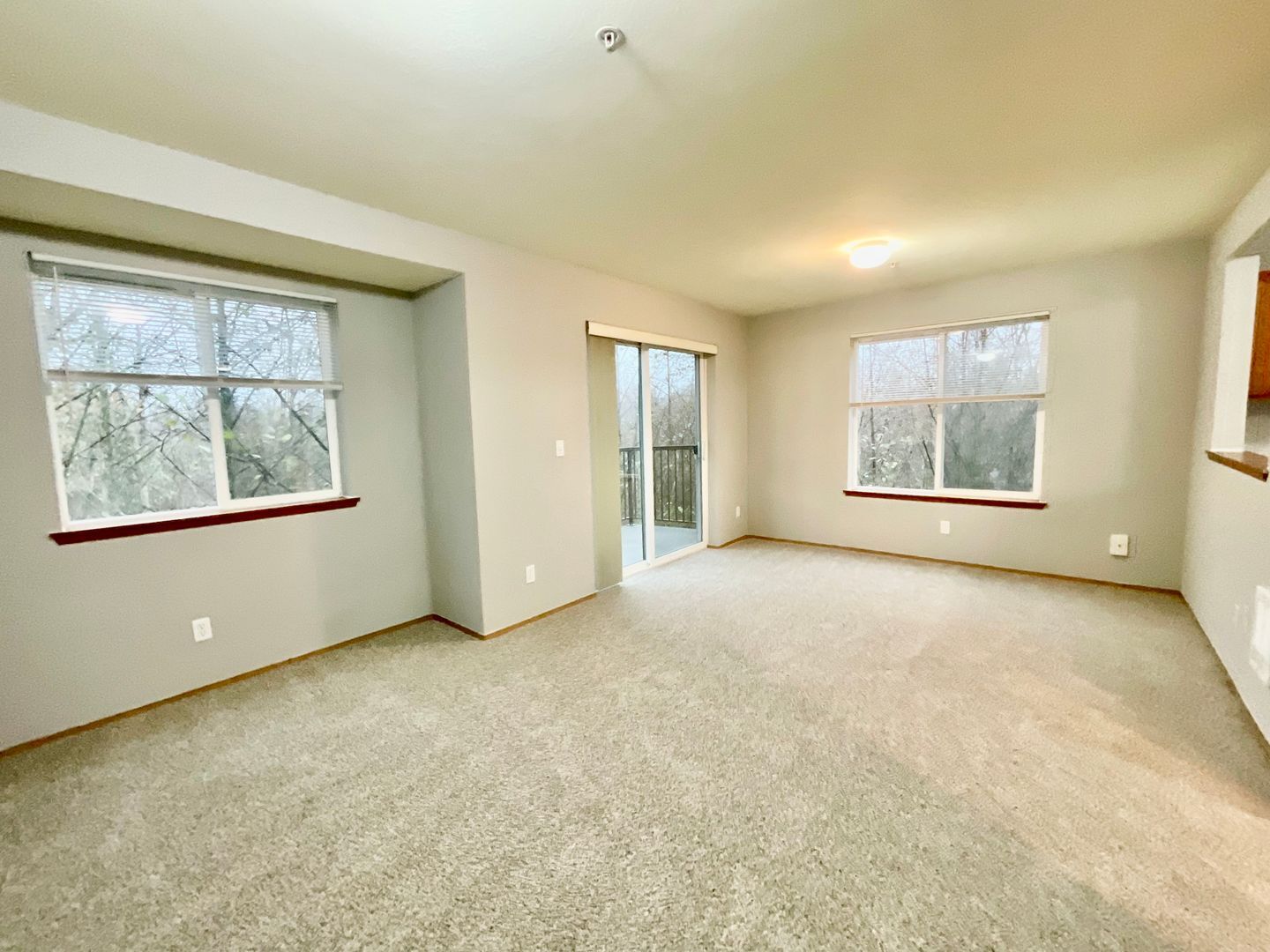 4018 Northwest Avenue - Bellingham - Washington - 1 bed, 1 bath rental property