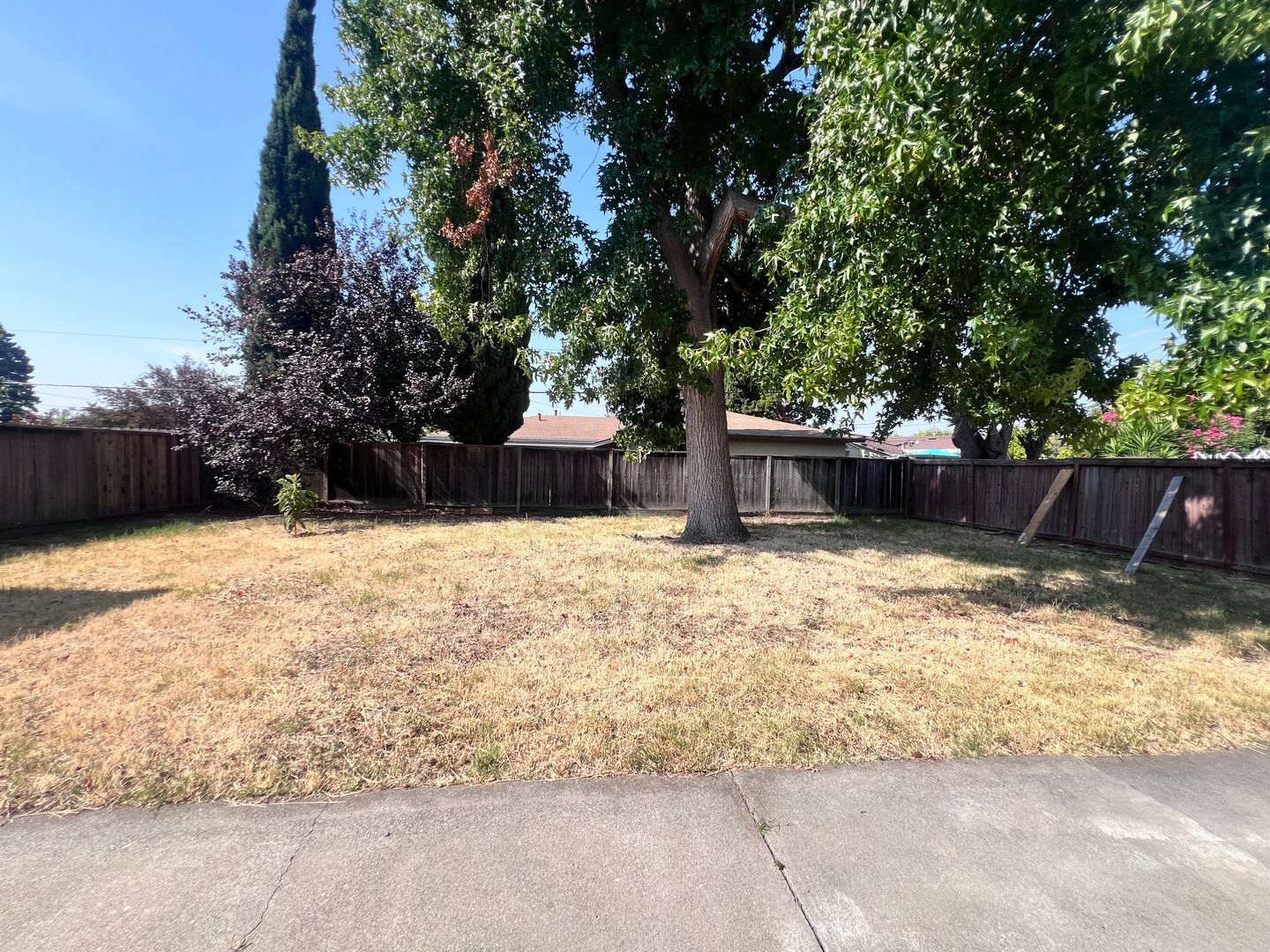 40251 Laiolo Road - Fremont - California - 3 bed, 2 bath rental property