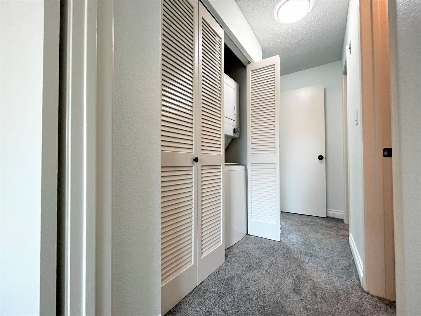 7405 Charmant Dr #2036 - San Diego - California - 1 bed, 1 bath rental property