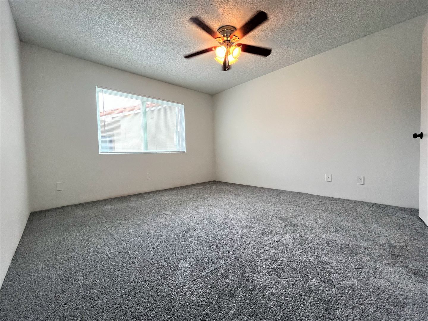 7405 Charmant Dr #2036 - San Diego - California - 1 bed, 1 bath rental property