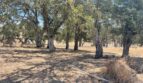 7846 Jenny Lind Road - B Upper Home - Valley Springs - California - 3 bed, 2 bath rental property
