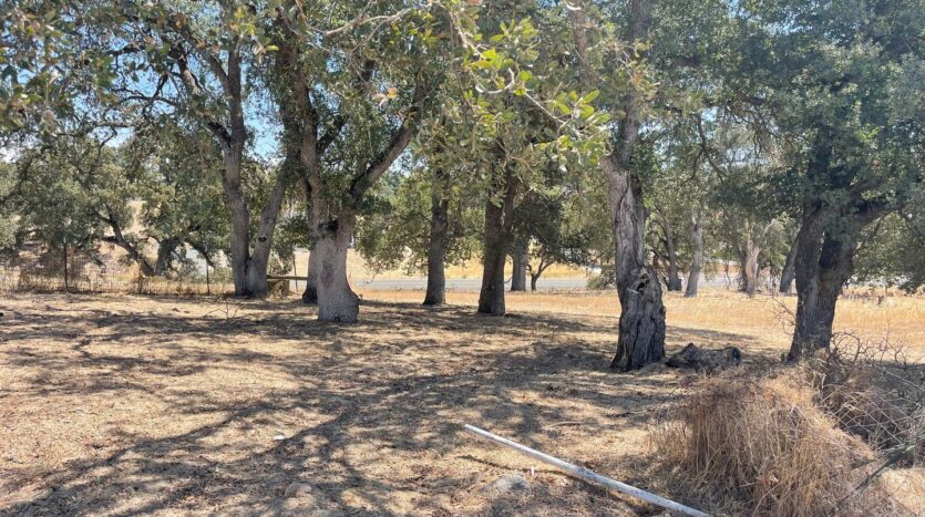7846 Jenny Lind Road - B Upper Home - Valley Springs - California - 3 bed, 2 bath rental property