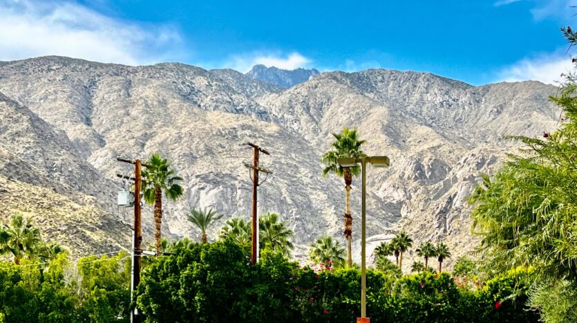 803 N Palm Canyon Dr.  - Unit 09 - Palm Springs - California - 2 bed, 2 bath rental property