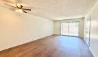81351 Fred Waring Drive - Indio - California - 2 bed, 1 bath rental property