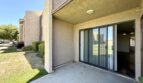 81351 Fred Waring Drive - Indio - California - 2 bed, 1 bath rental property