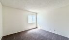 81351 Fred Waring Drive - Indio - California - 2 bed, 1 bath rental property