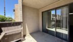 81351 Fred Waring Drive - Indio - California - 2 bed, 1 bath rental property