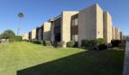 81351 Fred Waring Drive - Indio - California - 2 bed, 1 bath rental property