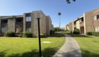 81351 Fred Waring Drive - Indio - California - 2 bed, 1 bath rental property