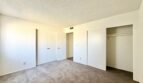 81351 Fred Waring Drive - Indio - California - 2 bed, 1 bath rental property