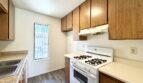 81351 Fred Waring Drive - Indio - California - 2 bed, 1 bath rental property