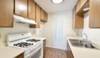 81351 Fred Waring Drive - Indio - California - 2 bed, 1 bath rental property