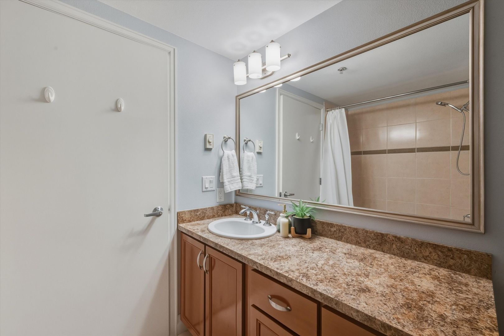 960 Harris Ave #307 - Bellingham - Washington - 1 bath rental property
