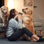 Nevada Pet Laws: How to Handle Unauthorized Pets (2026)