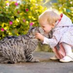 New Mexico Pet Laws: How to Handle Unauthorized Pets (2026)