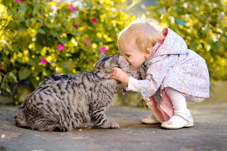 New Mexico Pet Laws: How to Handle Unauthorized Pets (2026)